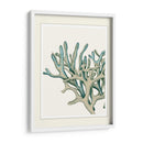 Escenas Azules Submarinas 2 B - Fab Funky | Cuadro decorativo de Canvas Lab