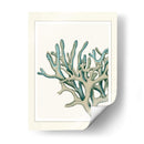 Escenas Azules Submarinas 2 B - Fab Funky | Cuadro decorativo de Canvas Lab