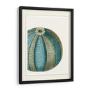 Escenas Azules Submarinas 1 A - Fab Funky | Cuadro decorativo de Canvas Lab