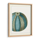 Escenas Azules Submarinas 1 A - Fab Funky | Cuadro decorativo de Canvas Lab