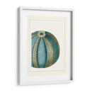 Escenas Azules Submarinas 1 A - Fab Funky | Cuadro decorativo de Canvas Lab