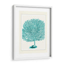 Escenas Azules Submarinas 1 D - Fab Funky | Cuadro decorativo de Canvas Lab