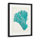 Escenas Azules Submarinas 1 F - Fab Funky | Cuadro decorativo de Canvas Lab
