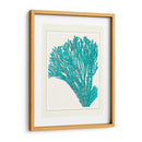 Escenas Azules Submarinas 1 F - Fab Funky | Cuadro decorativo de Canvas Lab
