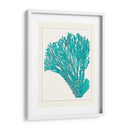 Escenas Azules Submarinas 1 F - Fab Funky | Cuadro decorativo de Canvas Lab