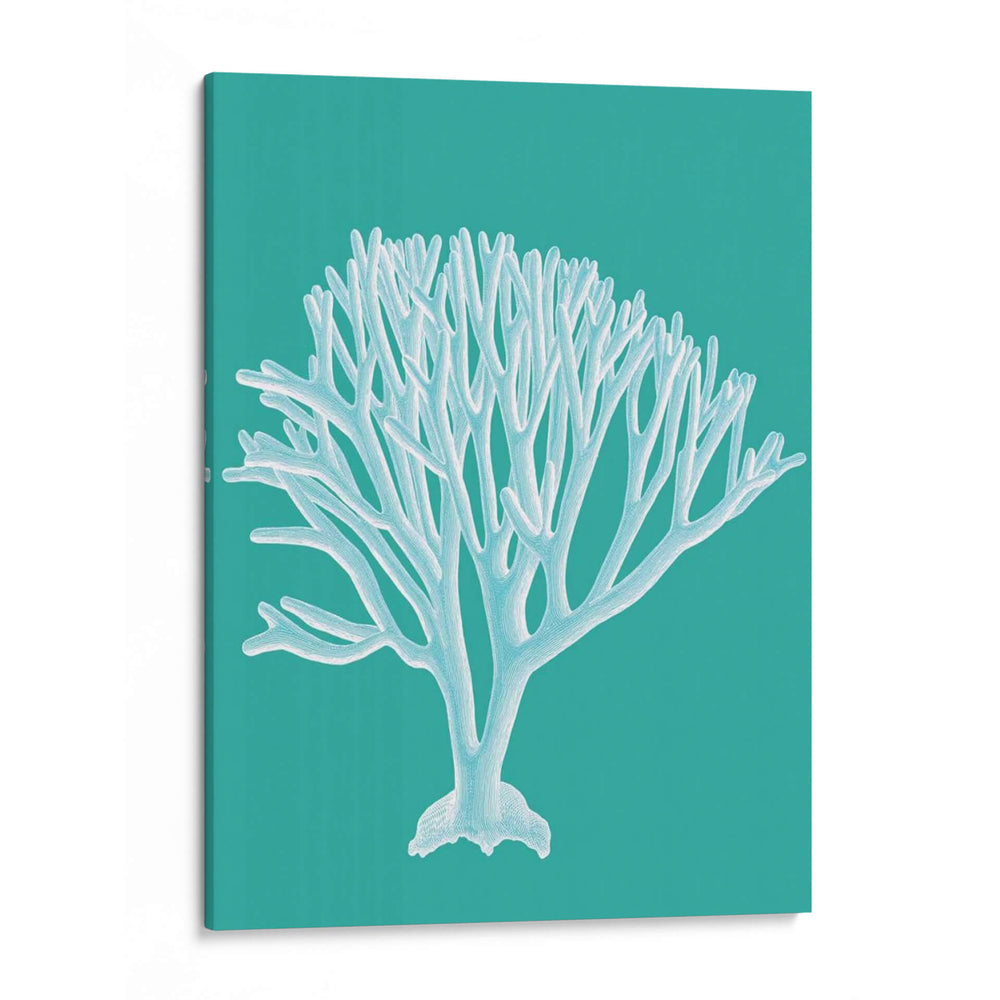 Coral 2 Blanco En Turquesa - Fab Funky | Cuadro decorativo de Canvas Lab