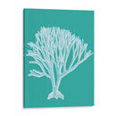 Coral 2 Blanco En Turquesa - Fab Funky | Cuadro decorativo de Canvas Lab