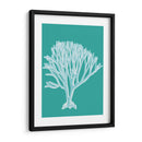 Coral 2 Blanco En Turquesa - Fab Funky | Cuadro decorativo de Canvas Lab