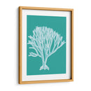 Coral 2 Blanco En Turquesa - Fab Funky | Cuadro decorativo de Canvas Lab