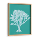 Coral 2 Blanco En Turquesa - Fab Funky | Cuadro decorativo de Canvas Lab