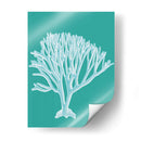 Coral 2 Blanco En Turquesa - Fab Funky | Cuadro decorativo de Canvas Lab