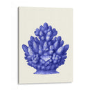 Haeckel Hexacoralla Coral Azul - Fab Funky | Cuadro decorativo de Canvas Lab