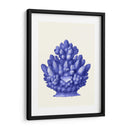 Haeckel Hexacoralla Coral Azul - Fab Funky | Cuadro decorativo de Canvas Lab