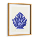 Haeckel Hexacoralla Coral Azul - Fab Funky | Cuadro decorativo de Canvas Lab