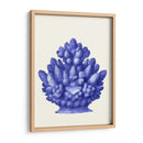 Haeckel Hexacoralla Coral Azul - Fab Funky | Cuadro decorativo de Canvas Lab