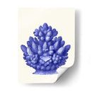Haeckel Hexacoralla Coral Azul - Fab Funky | Cuadro decorativo de Canvas Lab