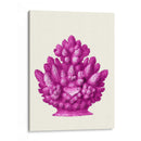 Haeckel Hexacoralla Coral Rosa - Fab Funky | Cuadro decorativo de Canvas Lab