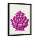 Haeckel Hexacoralla Coral Rosa - Fab Funky | Cuadro decorativo de Canvas Lab