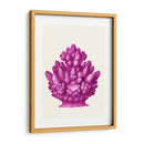 Haeckel Hexacoralla Coral Rosa - Fab Funky | Cuadro decorativo de Canvas Lab