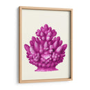 Haeckel Hexacoralla Coral Rosa - Fab Funky | Cuadro decorativo de Canvas Lab