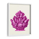 Haeckel Hexacoralla Coral Rosa - Fab Funky | Cuadro decorativo de Canvas Lab
