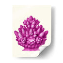 Haeckel Hexacoralla Coral Rosa - Fab Funky | Cuadro decorativo de Canvas Lab