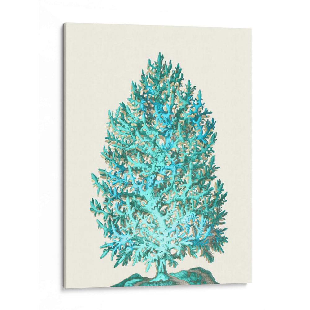 Turquesa De Árbol De Coral En Crema - Fab Funky | Cuadro decorativo de Canvas Lab