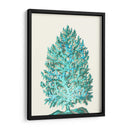 Turquesa De Árbol De Coral En Crema - Fab Funky | Cuadro decorativo de Canvas Lab