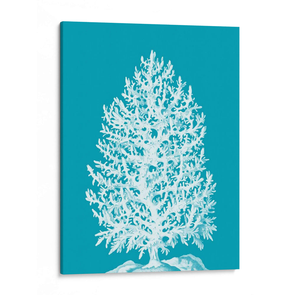 Árbol De Coral Blanco En Azul Marino - Fab Funky | Cuadro decorativo de Canvas Lab