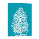 Árbol De Coral Blanco En Azul Marino - Fab Funky | Cuadro decorativo de Canvas Lab
