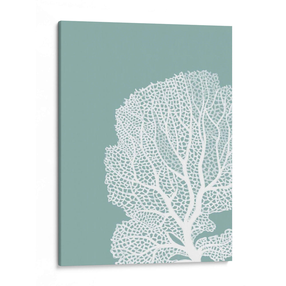 Corales Blancos En Niebla Azul Verde B - Fab Funky | Cuadro decorativo de Canvas Lab