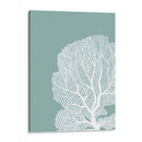 Corales Blancos En Niebla Azul Verde B - Fab Funky | Cuadro decorativo de Canvas Lab