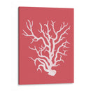 Corales Blancos En Coral A - Fab Funky | Cuadro decorativo de Canvas Lab