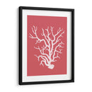 Corales Blancos En Coral A - Fab Funky | Cuadro decorativo de Canvas Lab