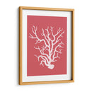 Corales Blancos En Coral A - Fab Funky | Cuadro decorativo de Canvas Lab