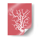 Corales Blancos En Coral A - Fab Funky | Cuadro decorativo de Canvas Lab