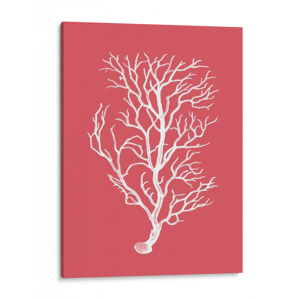 Corales Blancos En Coral B - Fab Funky | Cuadro decorativo de Canvas Lab