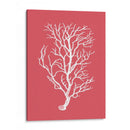 Corales Blancos En Coral B - Fab Funky | Cuadro decorativo de Canvas Lab