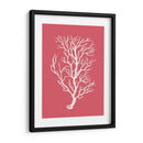 Corales Blancos En Coral B - Fab Funky | Cuadro decorativo de Canvas Lab