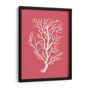 Corales Blancos En Coral B - Fab Funky | Cuadro decorativo de Canvas Lab