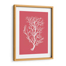 Corales Blancos En Coral B - Fab Funky | Cuadro decorativo de Canvas Lab