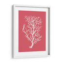 Corales Blancos En Coral B - Fab Funky | Cuadro decorativo de Canvas Lab