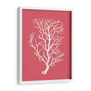 Corales Blancos En Coral B - Fab Funky | Cuadro decorativo de Canvas Lab