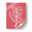 Corales Blancos En Coral B - Fab Funky | Cuadro decorativo de Canvas Lab