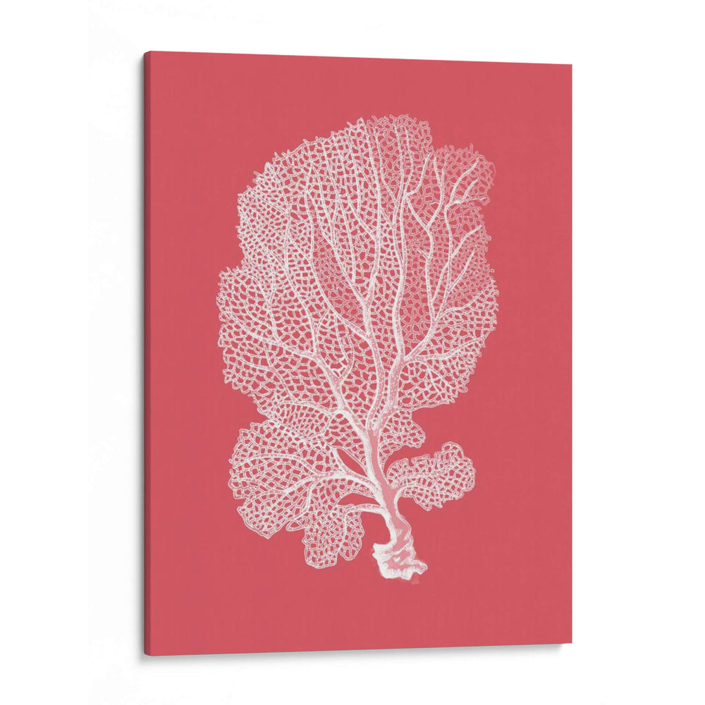 Corales Blancos En Coral C - Fab Funky | Cuadro decorativo de Canvas Lab