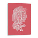 Corales Blancos En Coral C - Fab Funky | Cuadro decorativo de Canvas Lab