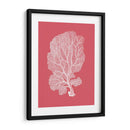 Corales Blancos En Coral C - Fab Funky | Cuadro decorativo de Canvas Lab
