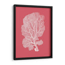 Corales Blancos En Coral C - Fab Funky | Cuadro decorativo de Canvas Lab