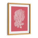 Corales Blancos En Coral C - Fab Funky | Cuadro decorativo de Canvas Lab