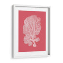Corales Blancos En Coral C - Fab Funky | Cuadro decorativo de Canvas Lab
